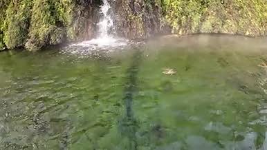 龙门石窟禹王池水下实拍视频的预览图
